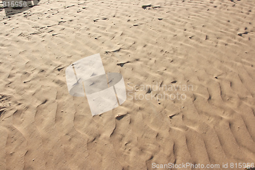 Image of The spring in the desert