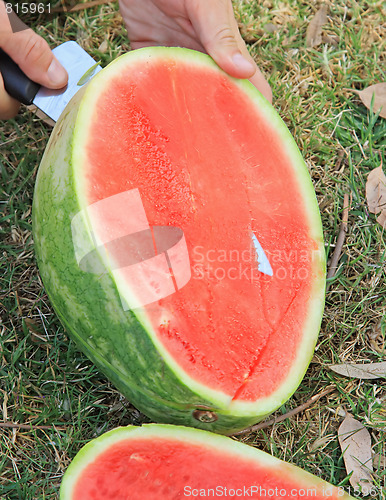 Image of The picnic. Cutting a watermelon