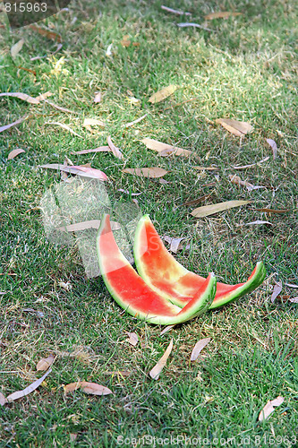 Image of The picnic. Cutting a watermelon