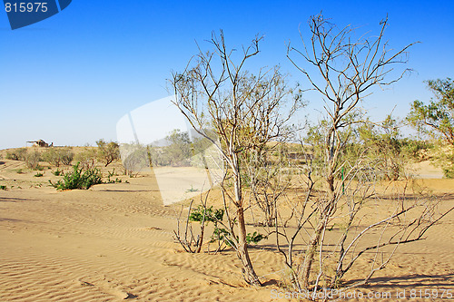 Image of The spring in the desert