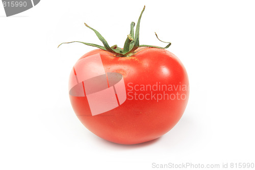 Image of The fresh red tomato 