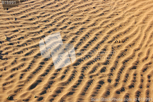 Image of The spring in the desert