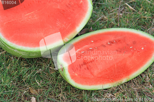 Image of The picnic. Cutting a watermelon
