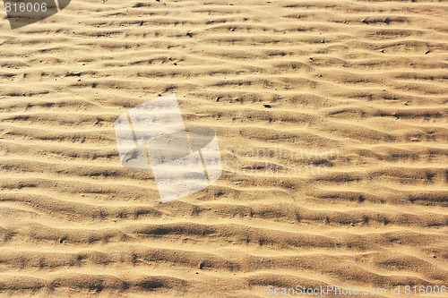 Image of The spring in the desert