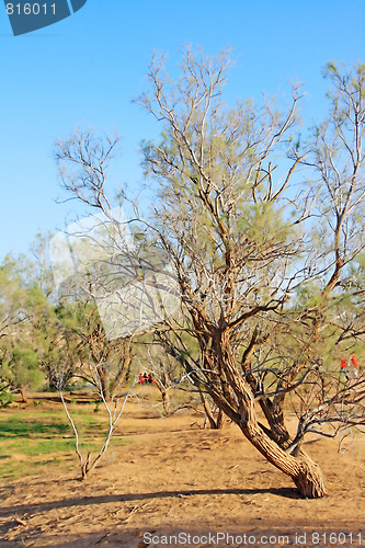Image of The spring in the desert