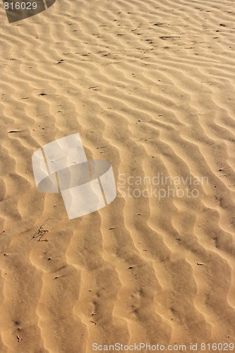 Image of The spring in the desert