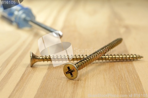 Image of Screws and screwdriver