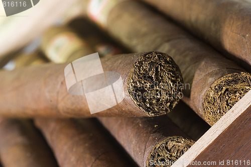 Image of quality hand made cigars from Nicaragua