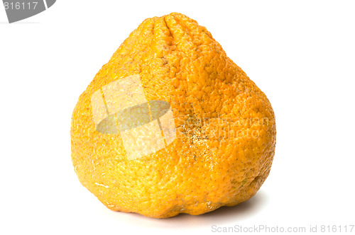 Image of ugli fruit