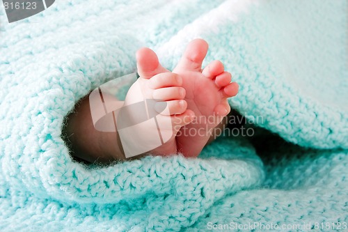 Image of Baby feet in blanket