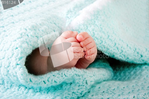 Image of Baby feet in blanket