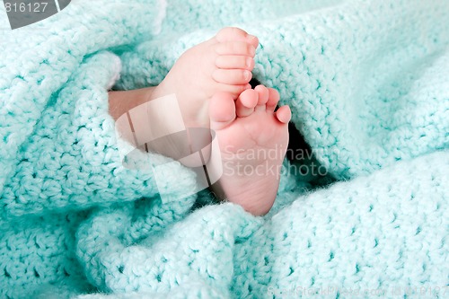 Image of Baby feet in blanket