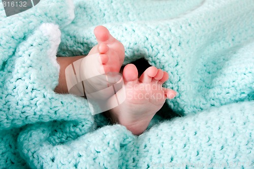 Image of Baby feet in blanket