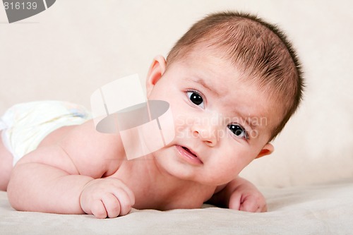 Image of Baby laying on belly