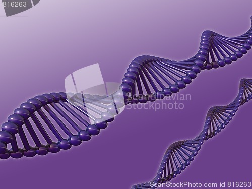 Image of dna