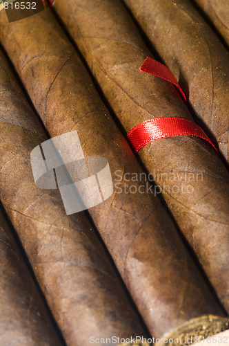 Image of quality hand made cigars from Nicaragua