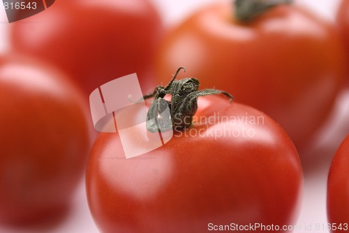 Image of Red tomatoes