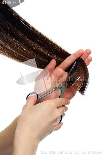 Image of Cutting the hair