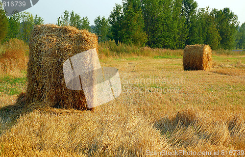 Image of Haymaking in August