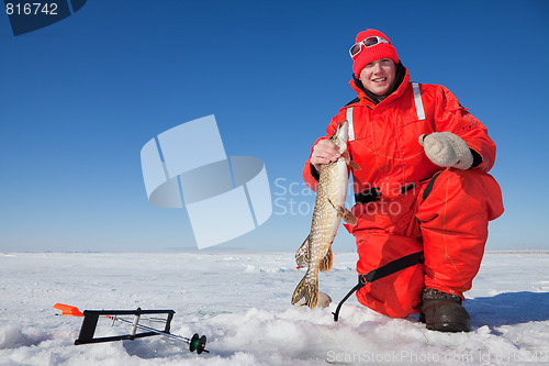 Image of Fishermans catch