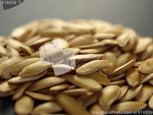Image of Melon seeds