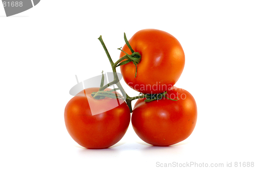 Image of Tomatoes