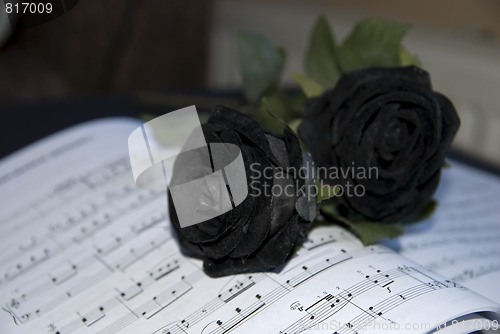 Image of Black rose on sheet music