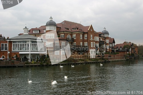 Image of bank of Thames