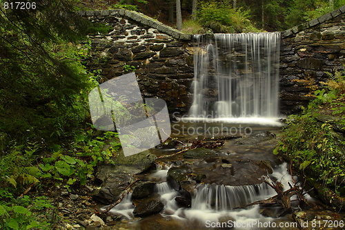 Image of forest waterfal