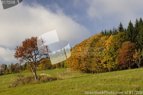 Image of autumn time