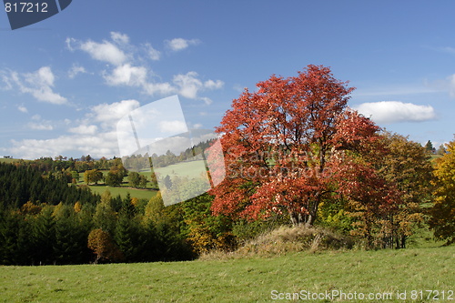 Image of autumn time