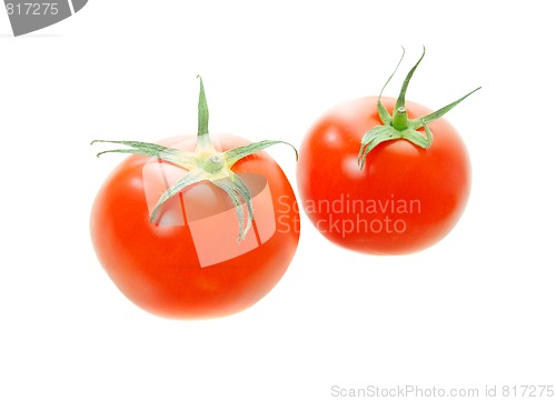 Image of Tomatoes