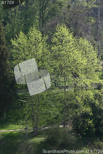 Image of spring