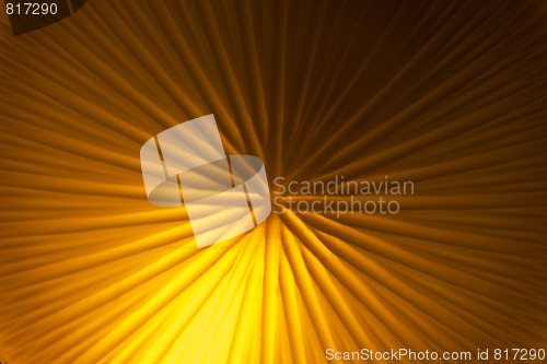 Image of Background
