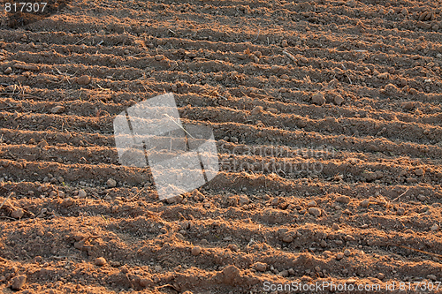 Image of Soil