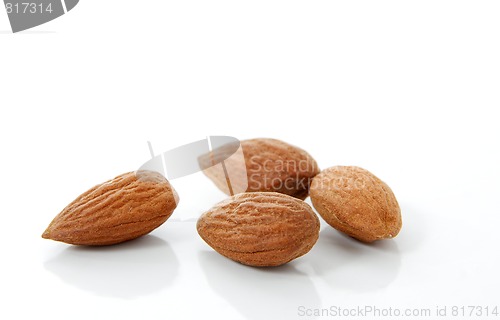 Image of Almond