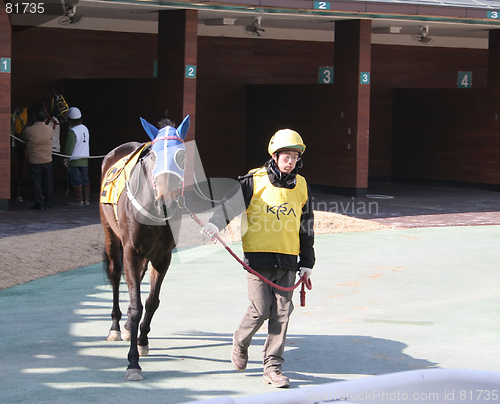 Image of A day at the races