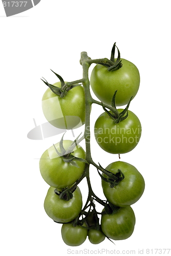 Image of Tomatoes 