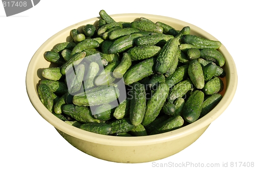 Image of green gherkins