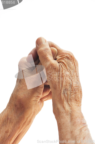 Image of Senior woman's hands isolated on white