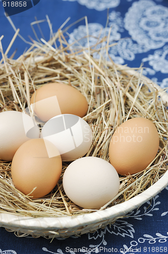 Image of Fresh farm eggs