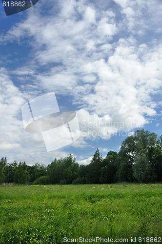 Image of Landscape of a green field with trees