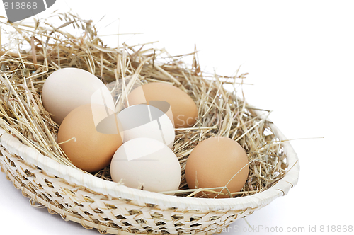 Image of Fresh farm eggs