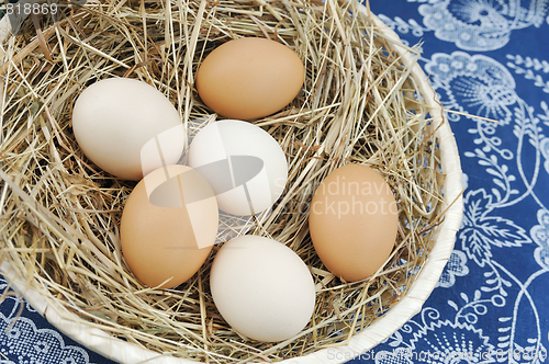 Image of Fresh farm eggs