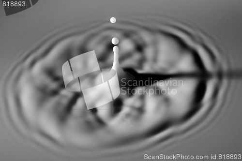 Image of Milk Droplet