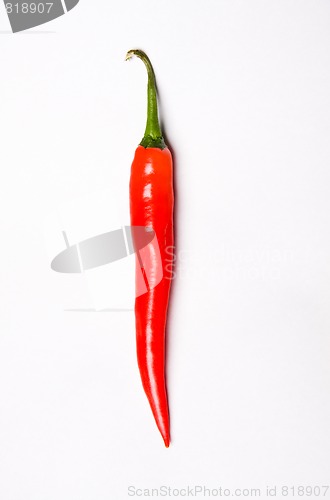 Image of chili pepper