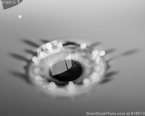 Image of Milk Droplet