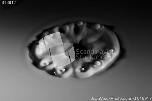 Image of Milk Droplet