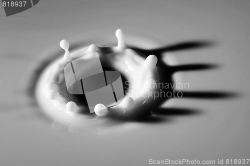 Image of Milk Droplet