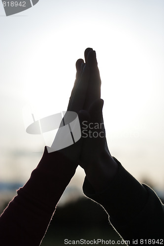 Image of High Five